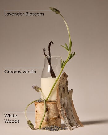 Lavender Vanilla Body Lotion Body Lotion