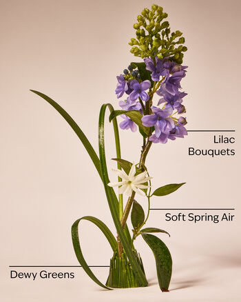 Fresh Cut Lilacs Single Wick Candle Single Wick Candle