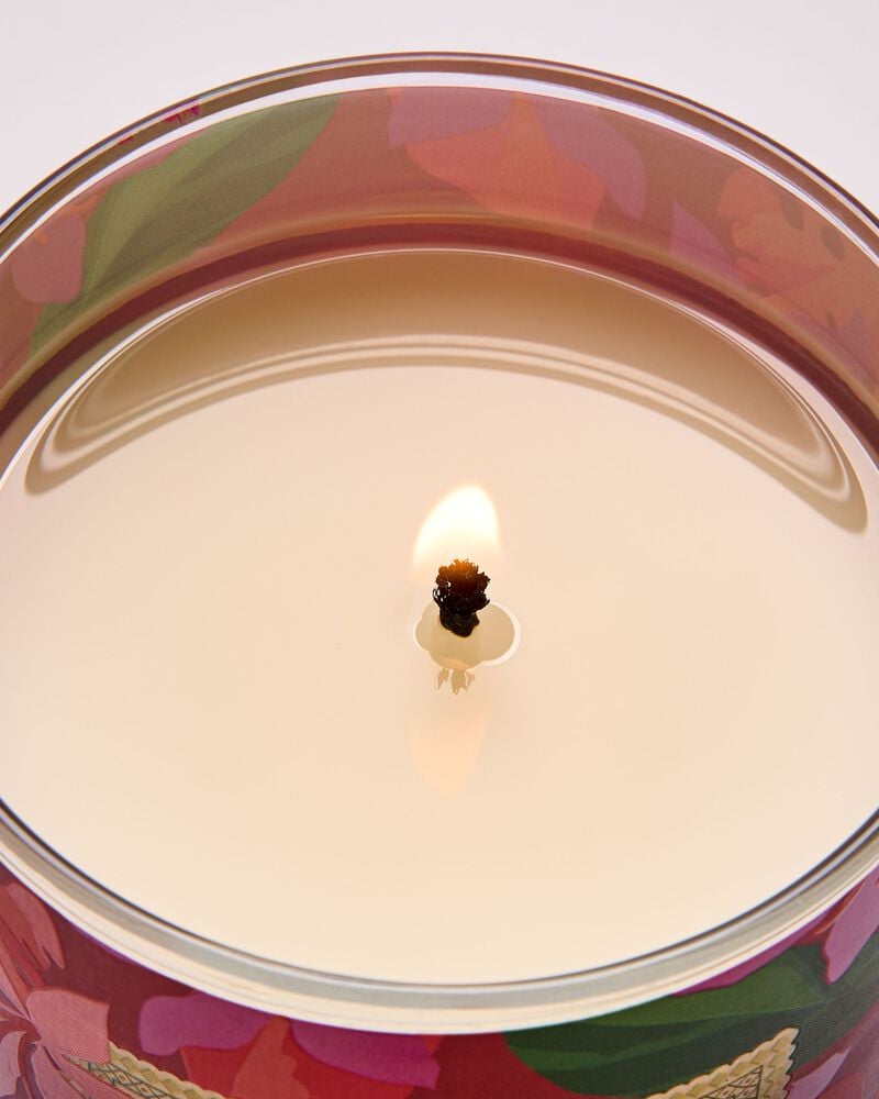 Viva Brazil Single Wick Candle Single Wick Candle