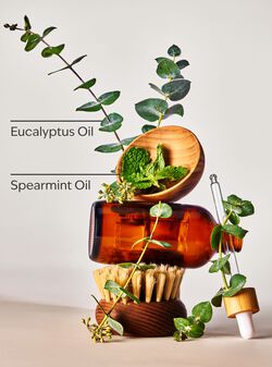 Eucalyptus Spearmint Body and Massage Oil