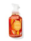 Calypso Clementine Gentle & Clean Foaming Hand Soap image number null