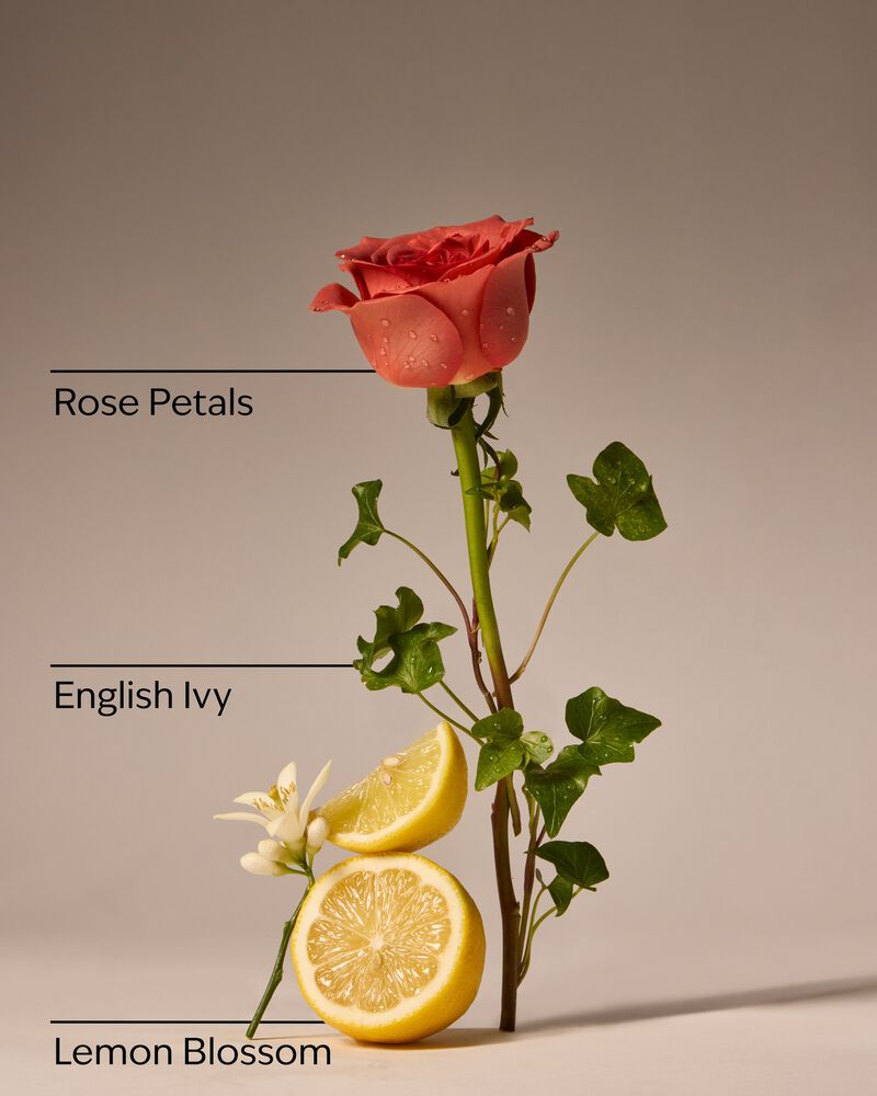 Rose Water & Ivy Concentrated Room Spray Concentrated Room Spray