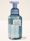 Iced Blue Lavender Gentle & Clean Foaming Hand Soap image number null