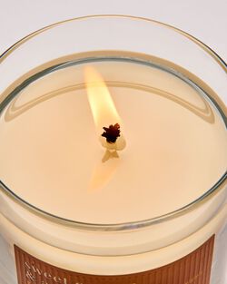 Sweet Orange & Agave Single Wick Candle image number null