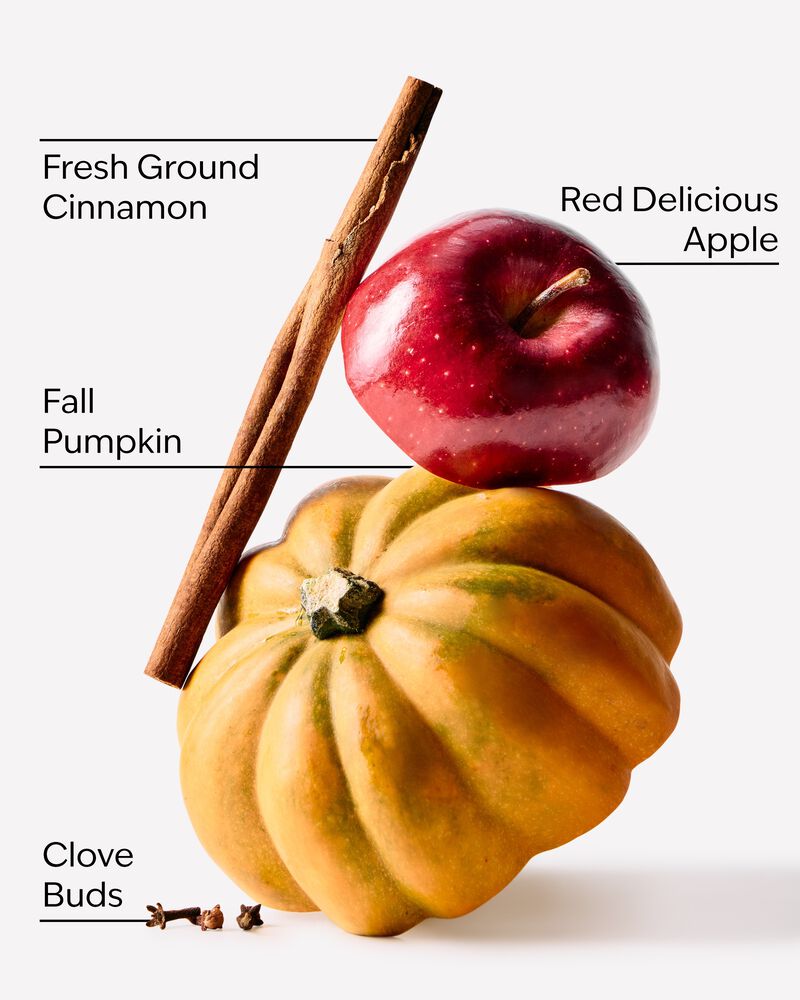 Pumpkin Apple PocketBac Hand Sanitizer PocketBac Hand Sanitizer