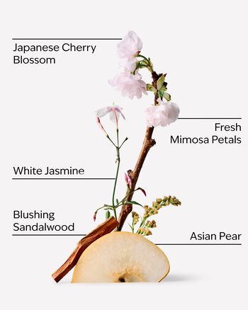 Japanese Cherry Blossom Wallflowers Fragrance Refill Wallflowers Fragrance Refill