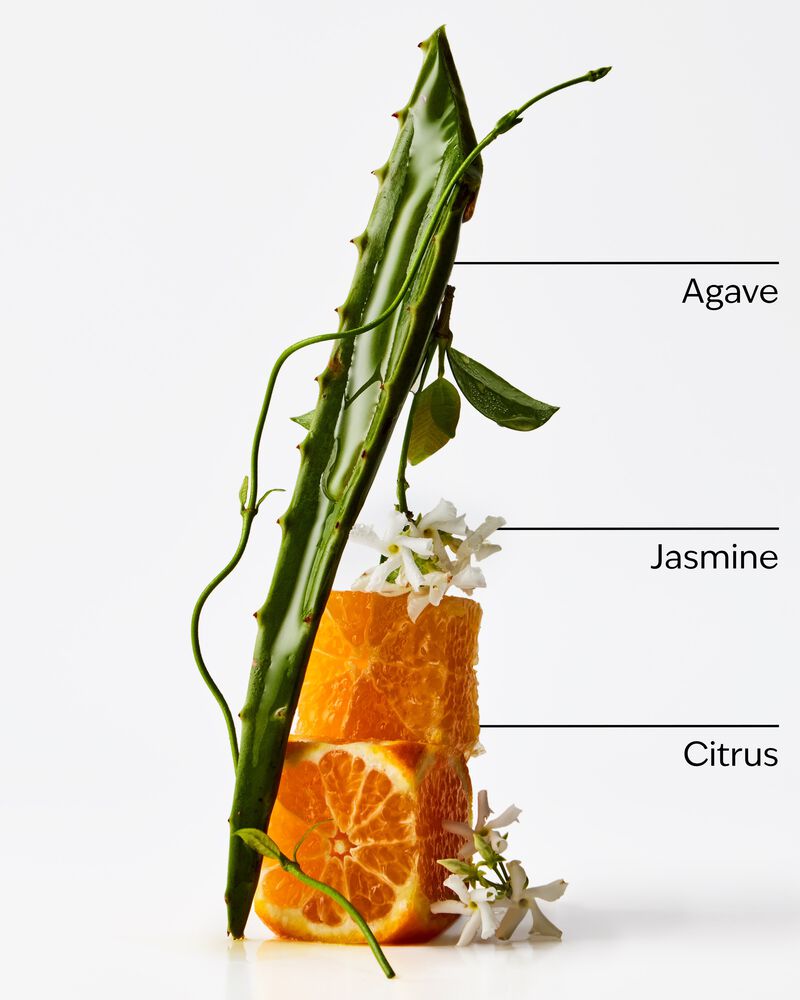 Sweet Orange & Agave 3-Wick Candle 3-Wick Candle