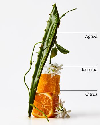 Sweet Orange & Agave 3-Wick Candle 3-Wick Candle