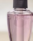Fresh Cut Lilacs Wallflowers Fragrance Refill image number null