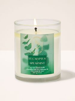 Eucalyptus Spearmint Single Wick Candle image number null