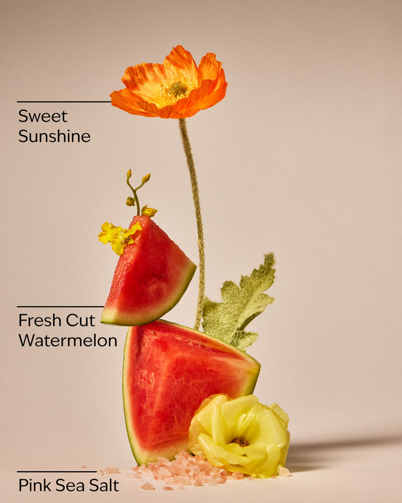 Fresh Watermelon Hand Sanitizer Spray Hand Sanitizer Spray