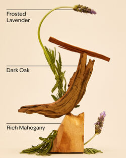 Mahogany Teakwood Hand Sanitizer Spray