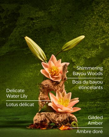 Tiana Gentle & Clean Foaming Hand Soap Gentle & Clean Foaming Hand Soap