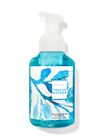 Turquoise Waters Foaming Hand Soap image number null