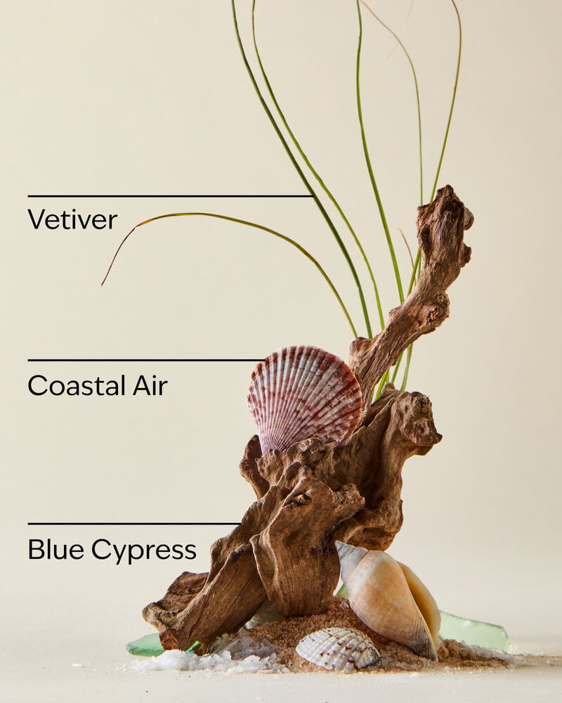 Ocean Exfoliating Face Wash Exfoliating Face Wash