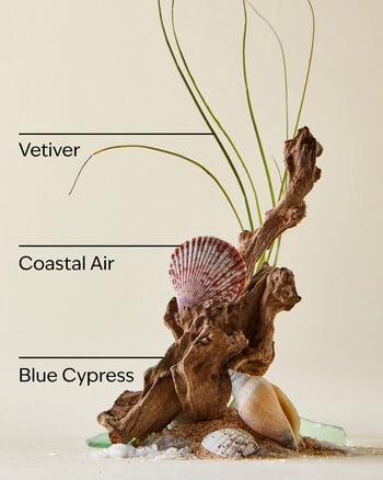 Ocean Exfoliating Face Wash Exfoliating Face Wash