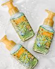Sunshine & Lemons Gentle & Clean Foaming Hand Soap image number null