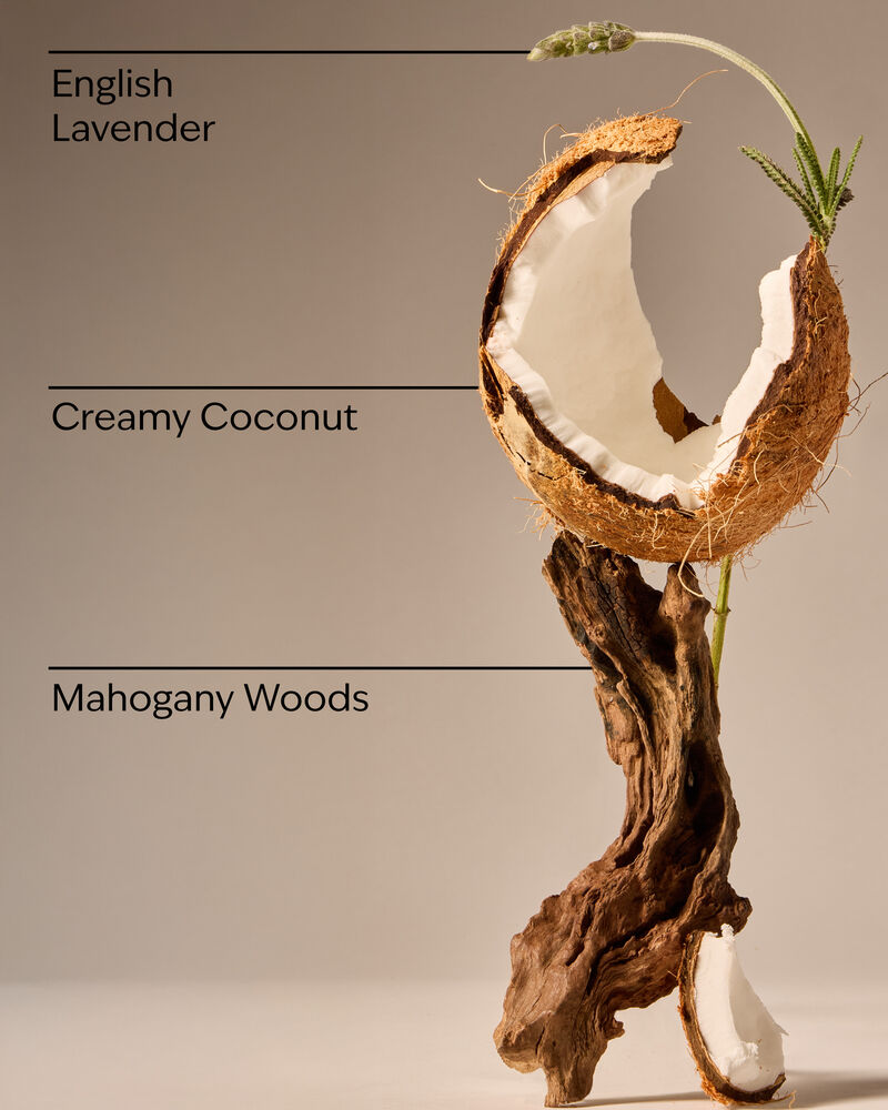 Mahogany Coconut Single Wick Candle Single Wick Candle