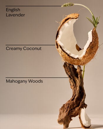 Mahogany Coconut Single Wick Candle Single Wick Candle