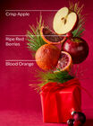 Bright Christmas Morning Diamond Shimmer Mist image number null