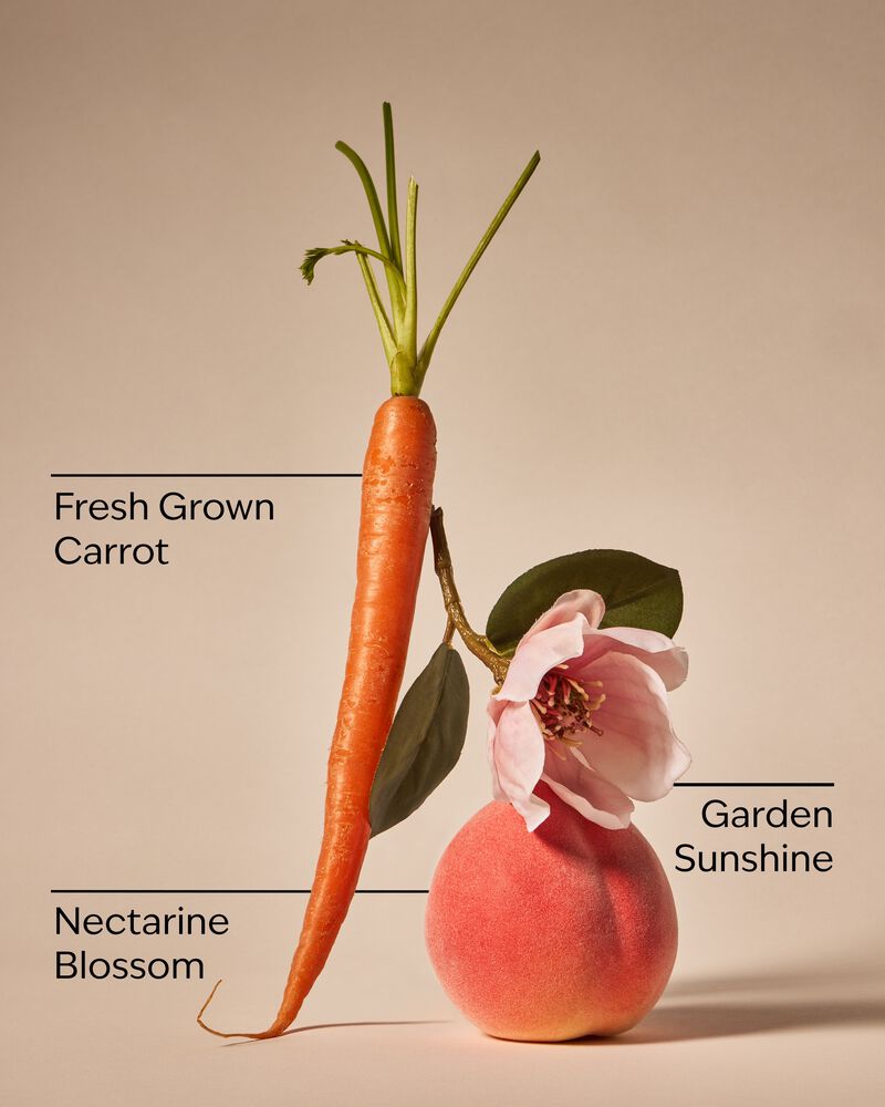Carrot & Nectarine 3-Wick Candle 3-Wick Candle