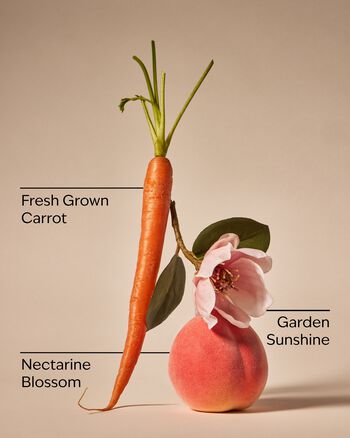 Carrot & Nectarine 3-Wick Candle 3-Wick Candle