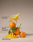 Island Margarita Foaming Hand Soap image number null