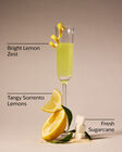 Limoncello Gentle & Clean Foaming Hand Soap image number null