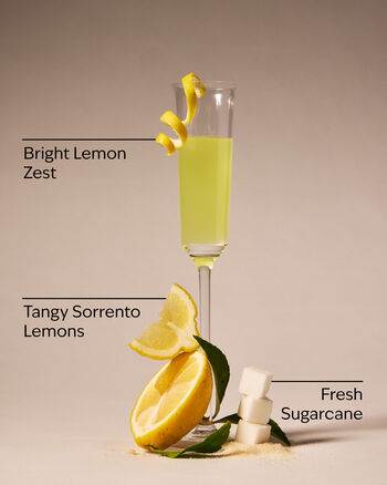Limoncello Gentle & Clean Foaming Hand Soap Gentle & Clean Foaming Hand Soap