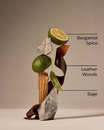 Graphite 3-in-1 Hair, Face & Body Wash 3-in-1 Hair, Face & Body Wash