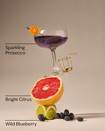 Blueberry Bellini Moisturizing PocketBac Hand Sanitizer Moisturizing PocketBac Hand Sanitizer