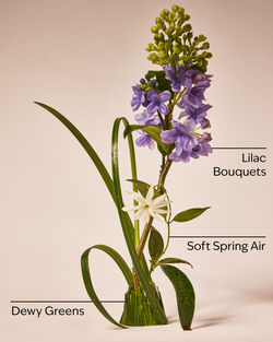 Fresh Cut Lilacs Gentle & Clean Foaming Hand Soap image number null