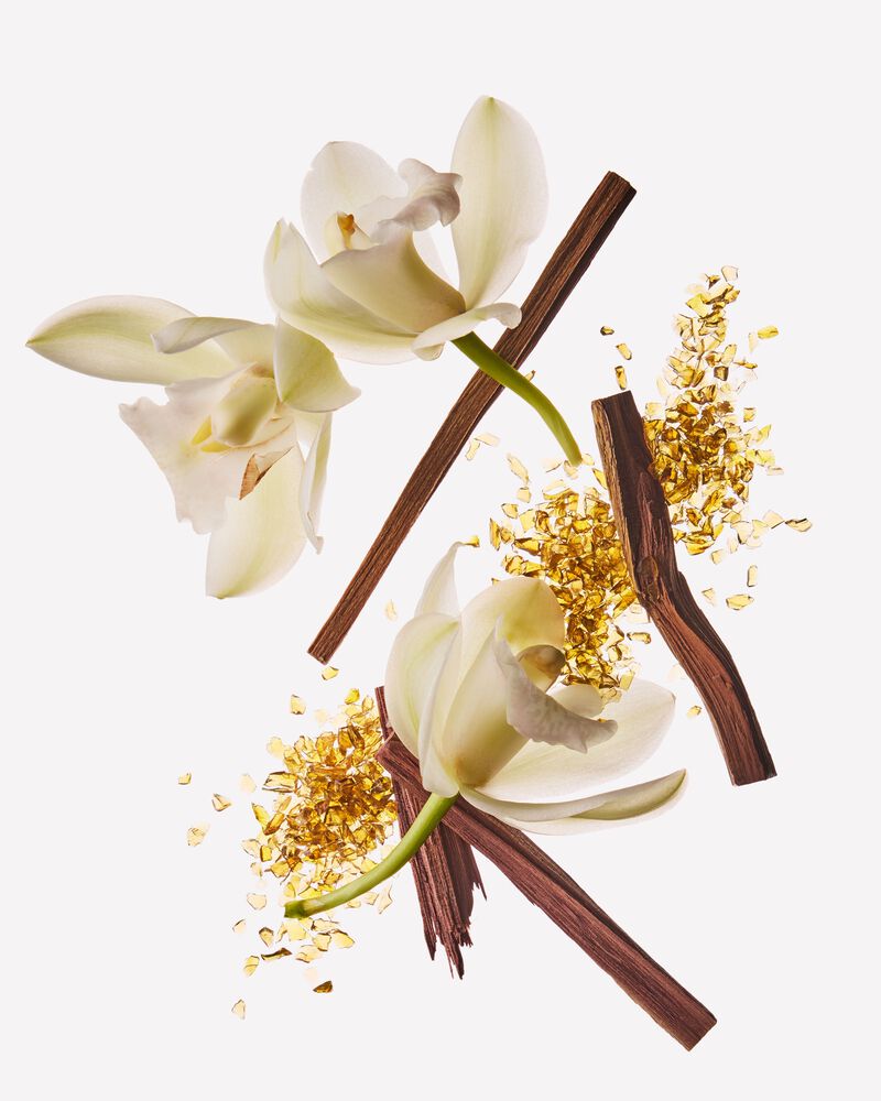 Dreamy Amber Wallflowers Fragrance Refill Wallflowers Fragrance Refill