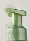 Chilled Lemon Frost Gentle & Clean Foaming Hand Soap image number null