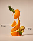 Orange Ginger Shower Steamers, 6-Pack image number null