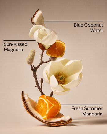 Endless Weekend PocketBac Hand Sanitizer PocketBac Hand Sanitizer