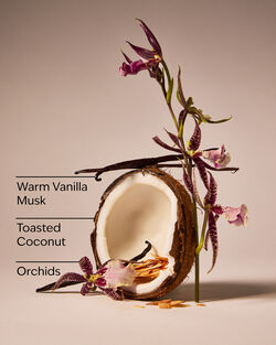 Tiki Beach Wallflowers Fragrance Refill image number null