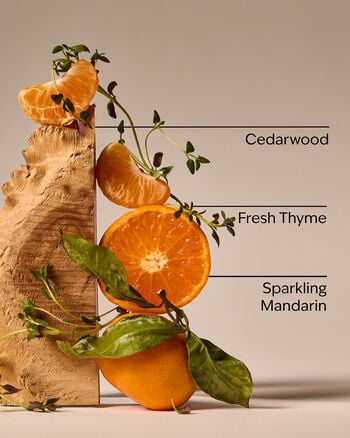 Kitchen Mandarin Gentle & Clean Foaming Hand Soap Gentle & Clean Foaming Hand Soap