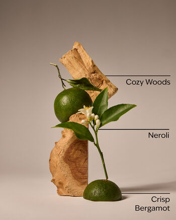 Book Loft Wallflowers Fragrance Refill Wallflowers Fragrance Refill