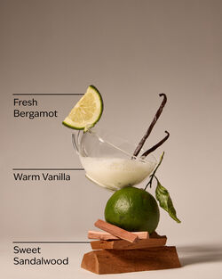 Mahogany Vanilla 3-Wick Candle image number null