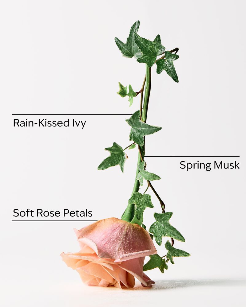 Rose Water & Ivy Moisturizing PocketBac Hand Sanitizer Moisturizing PocketBac Hand Sanitizer