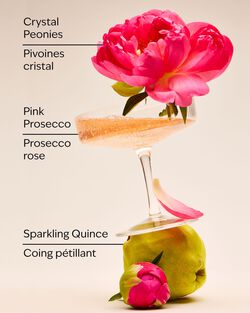 A Thousand Wishes Gift Set