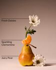 Gingham Fresh Fine Fragrance Mist image number null