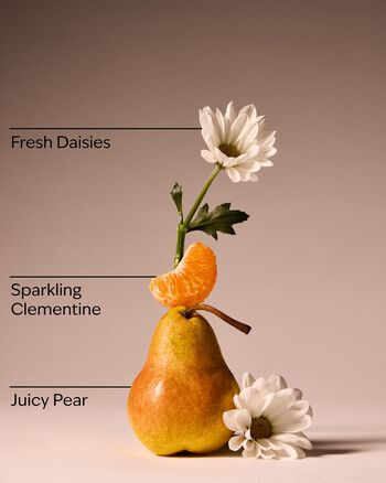 Gingham Fresh Fine Fragrance Mist Fine Fragrance Mist
