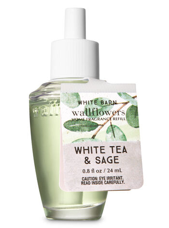 White Tea & Sage Wallflowers Fragrance Refill Wallflowers Fragrance Refill