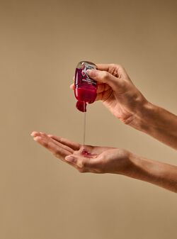 Bright Christmas Morning PocketBac Hand Sanitizer image number null