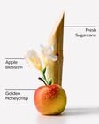 Honeycrisp Apple Hanging Fragrance Diffuser image number null