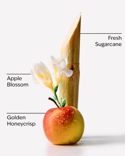 Honeycrisp Apple Hanging Fragrance Diffuser image number null