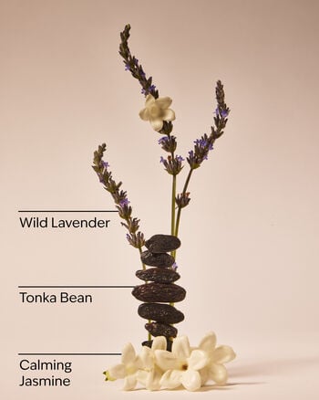 Sweet Lavender Daily Moisturizing Hand Soap Daily Moisturizing Hand Soap