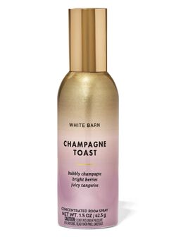 Champagne Toast Concentrated Room Spray image number null